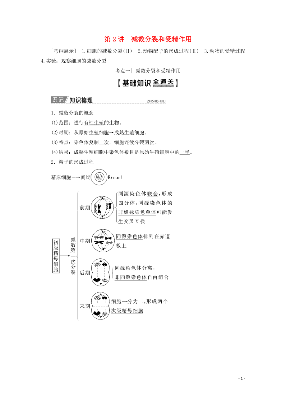 2020版高考生物一輪復(fù)習(xí) 第4單元 第2講 減數(shù)分裂和受精作用教學(xué)案 新人教版_第1頁