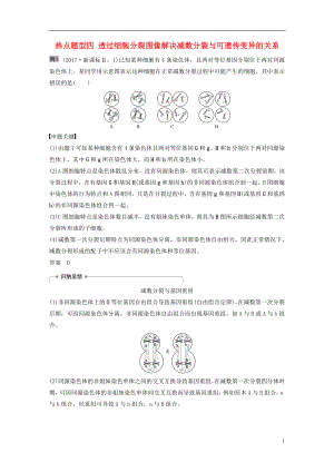 2018-2019學(xué)年高考生物大一輪復(fù)習(xí) 熱點(diǎn)題型四 透過細(xì)胞分裂圖像解決減數(shù)分裂與可遺傳變異的關(guān)系學(xué)案