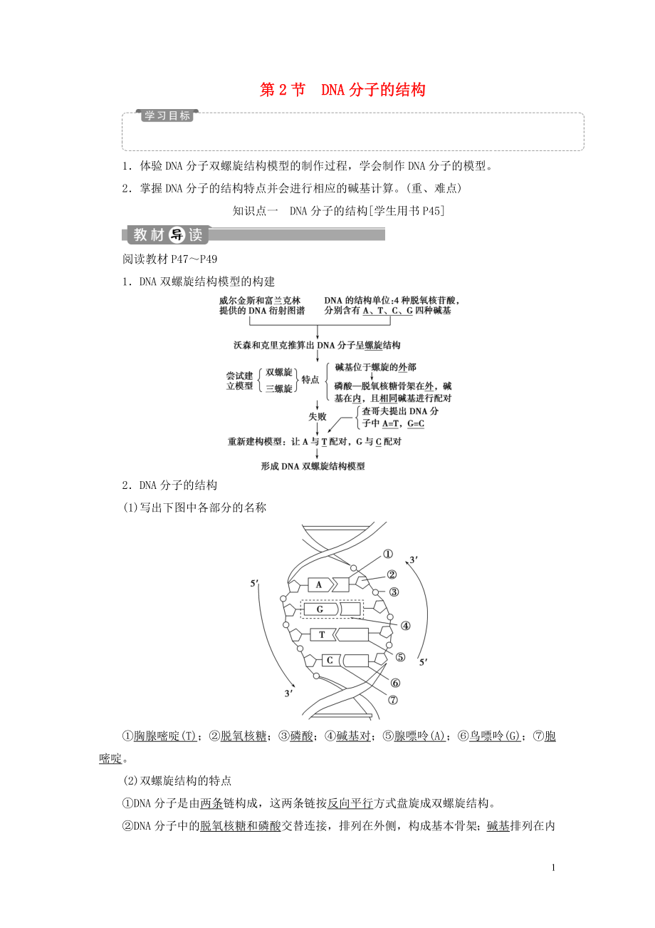 2019-2020學年高中生物 第3章 基因的本質(zhì) 第2節(jié) DNA分子的結(jié)構(gòu)學案 新人教版必修2_第1頁