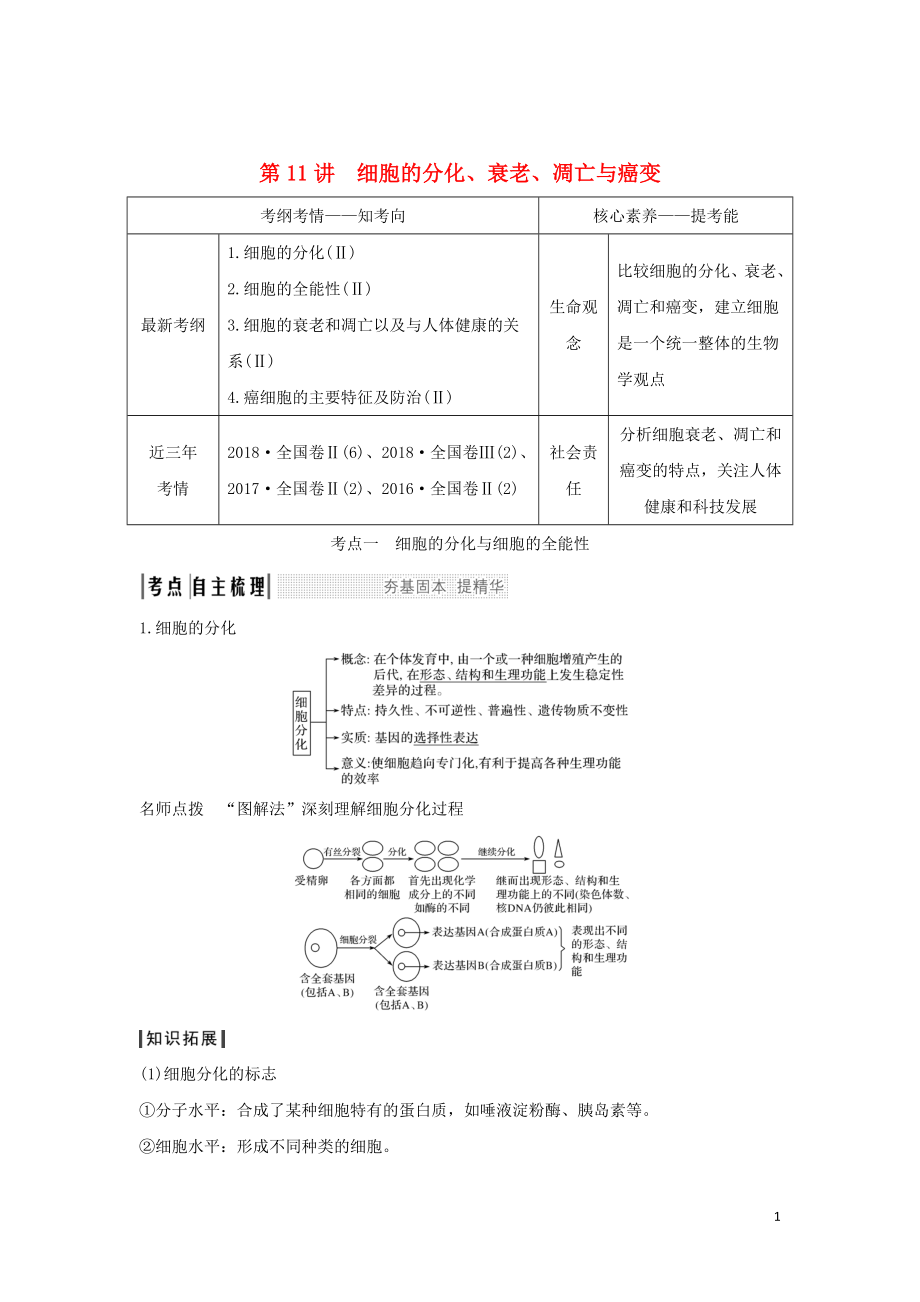 2020版高考生物 第五單元 細胞的生命歷程 第11講 細胞的分化、衰老、凋亡與癌變學案 中圖版必修1_第1頁