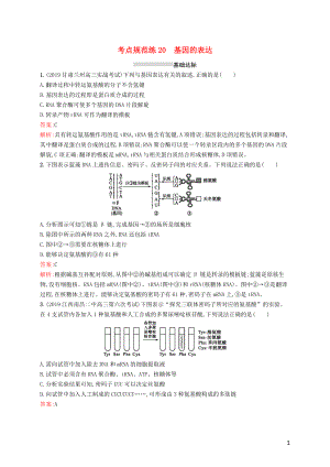 （廣西專用）2021版高考生物一輪復(fù)習(xí) 考點(diǎn)規(guī)范練20 基因的表達(dá)（含解析）新人教版