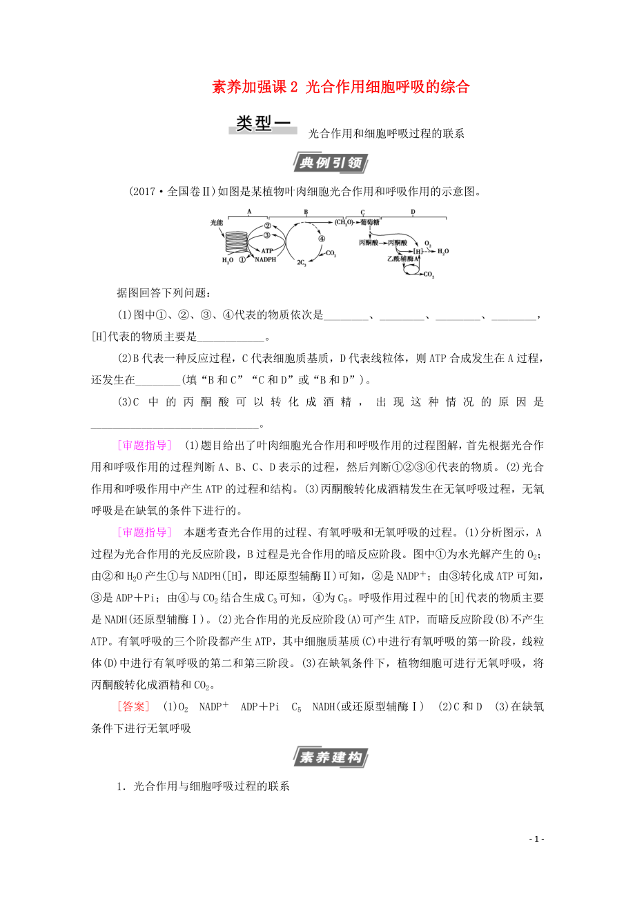 2021高考生物一輪復(fù)習(xí) 第3單元 細(xì)胞的能量供應(yīng)和利用 素養(yǎng)加強(qiáng)課2 光合作用細(xì)胞呼吸的綜合教學(xué)案 新人教版必修1_第1頁