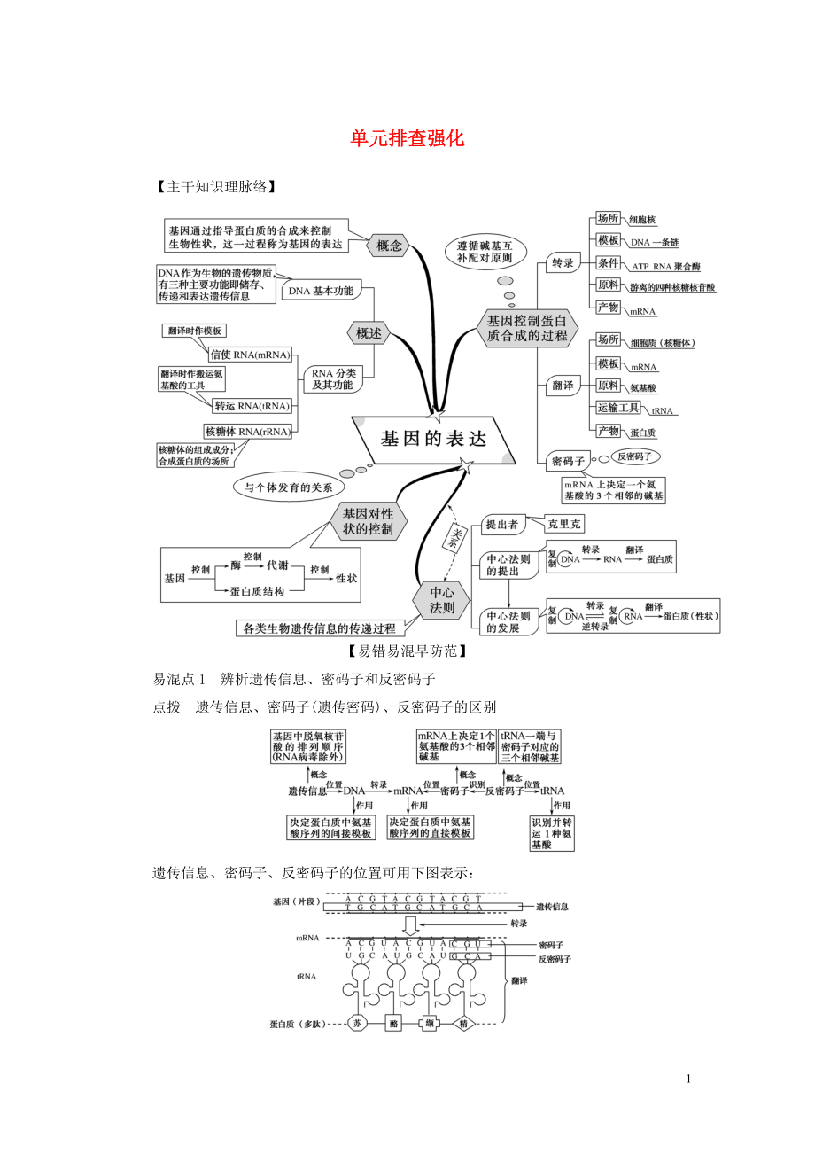 2020新教材高中生物 第4章 基因的表達單元排查強化 新人教版第二冊_第1頁