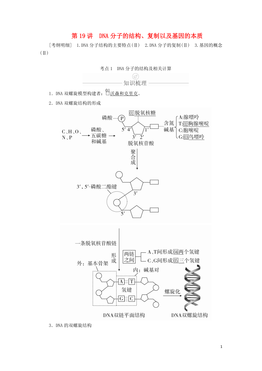 2020年高考生物一轮复习 第6单元 遗传的物质基础 第19讲 DNA分子的结构、复制以及基因的本质学案（含解析）（必修2）_第1页