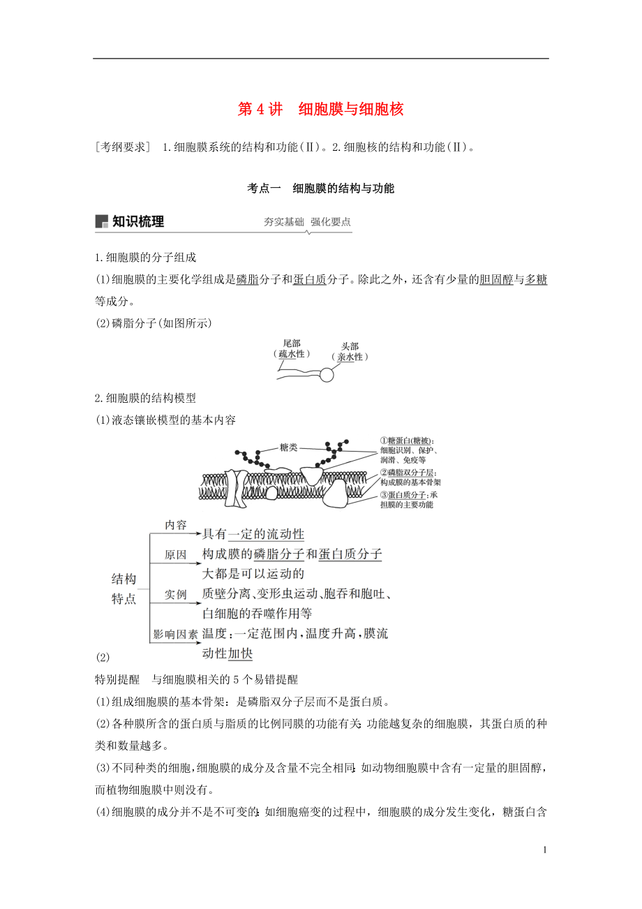 2019版生物高考大一輪復(fù)習(xí) 第二單元 細(xì)胞的結(jié)構(gòu)與細(xì)胞內(nèi)外的物質(zhì)交換 第4講 細(xì)胞膜與細(xì)胞核學(xué)案 北師大版_第1頁