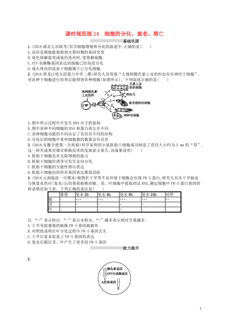 2020版高考生物大一輪復(fù)習(xí) 第4單元 細(xì)胞的生命歷程 課時(shí)規(guī)范練14 細(xì)胞的分化、衰老、凋亡 新人教版_第1頁(yè)