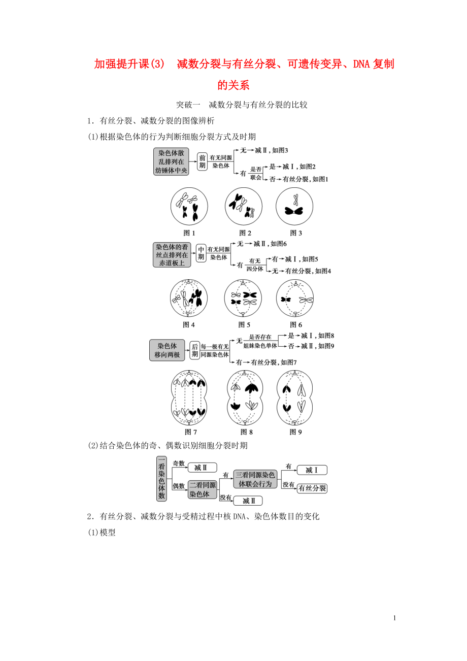 （選考）2021版新高考生物一輪復(fù)習(xí) 加強(qiáng)提升課（3） 減數(shù)分裂與有絲分裂、可遺傳變異、DNA復(fù)制的關(guān)系學(xué)案 新人教版_第1頁(yè)