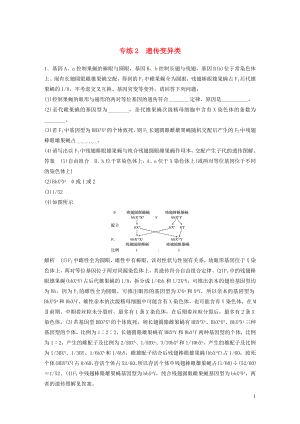 （浙江專用）2020年高考生物 考前增分專項練輯 專項4 實驗探究與設(shè)計專練 專練2 遺傳變異類（含解析）