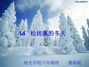 松坊溪的冬天(2)