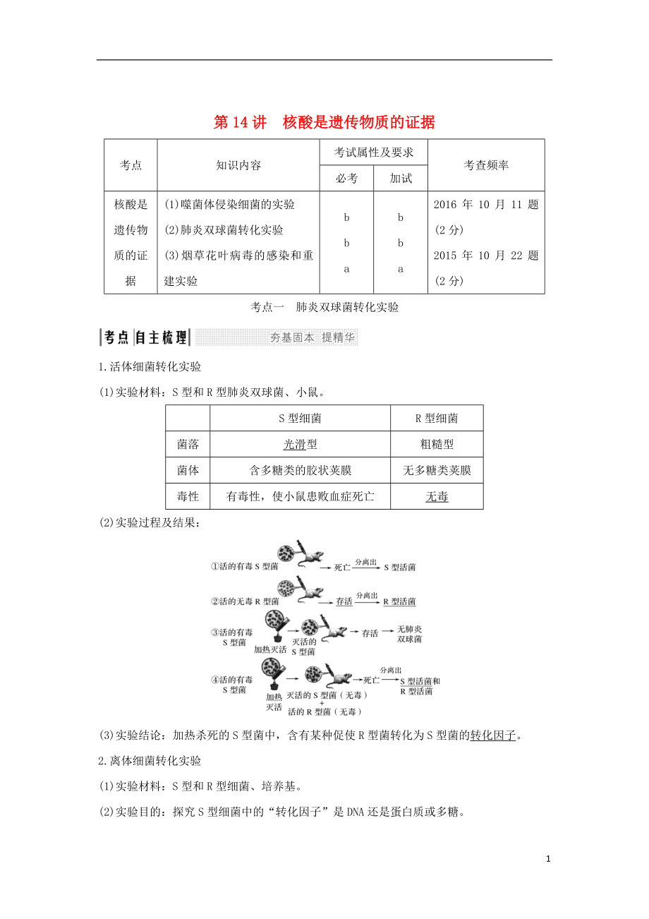 （浙江專版）2019版高考生物一輪復習 第14講 核酸是遺傳物質(zhì)的證據(jù)學案_第1頁