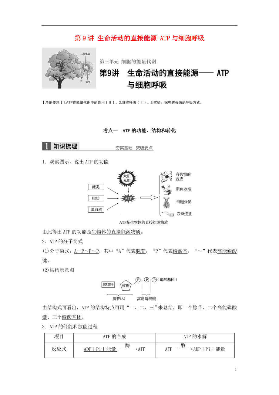 新2017高考生物一輪復(fù)習(xí) 第三單元 細(xì)胞的能量代謝 第9講 生命活動(dòng)的直接能源-ATP與細(xì)胞呼吸學(xué)案（含解析）北師大版_第1頁