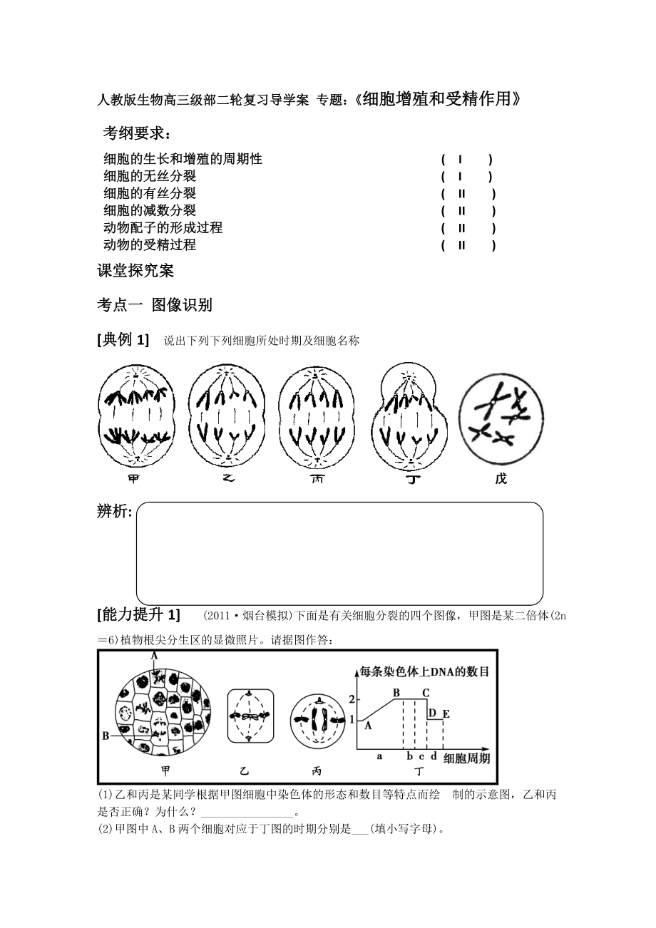 生物高三部二輪復(fù)習(xí)導(dǎo)學(xué)案專題：《細(xì)胞增殖和受精作用》_第1頁