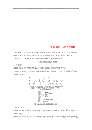 2017-2018學年高中生物 第4章 遺傳信息的傳遞規(guī)律 第18課時 人的伴性遺傳教學案 北師大版必修2