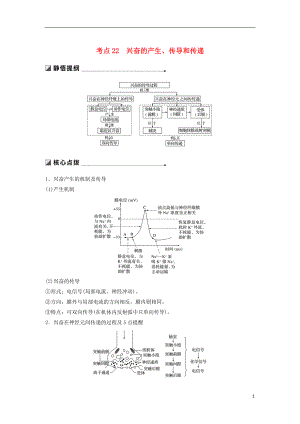 （通用版）2019版高考生物二輪復(fù)習(xí) 專題七 人體的穩(wěn)態(tài)及調(diào)節(jié)機(jī)制 考點(diǎn)22 興奮的產(chǎn)生、傳導(dǎo)和傳遞學(xué)案