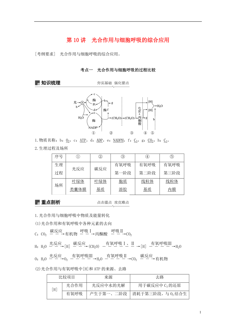 2019版生物高考大一輪復習 第三單元 細胞的能量代謝 第10講 光合作用與細胞呼吸的綜合應用學案 北師大版_第1頁