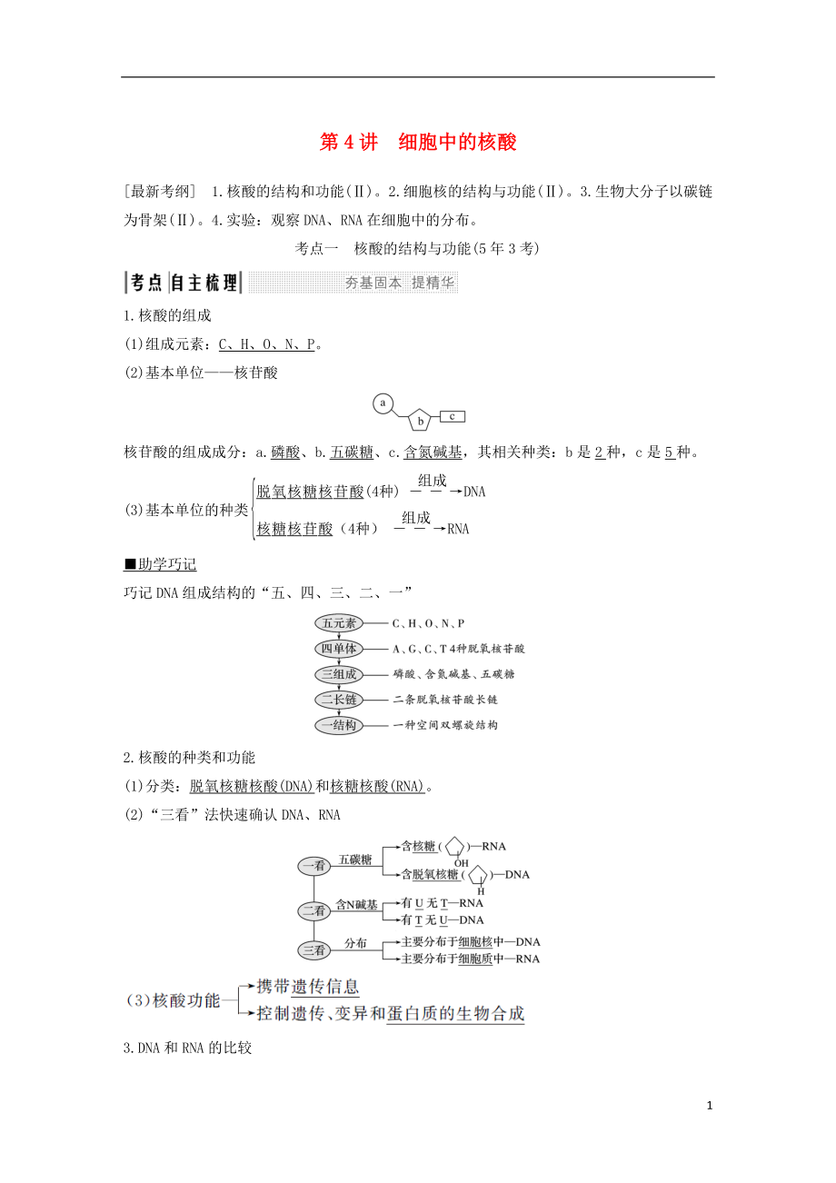 2019版高考生物一輪復(fù)習(xí) 第二單元 細(xì)胞的自我保障 第4講 細(xì)胞中的核酸創(chuàng)新備考學(xué)案 中圖版_第1頁(yè)