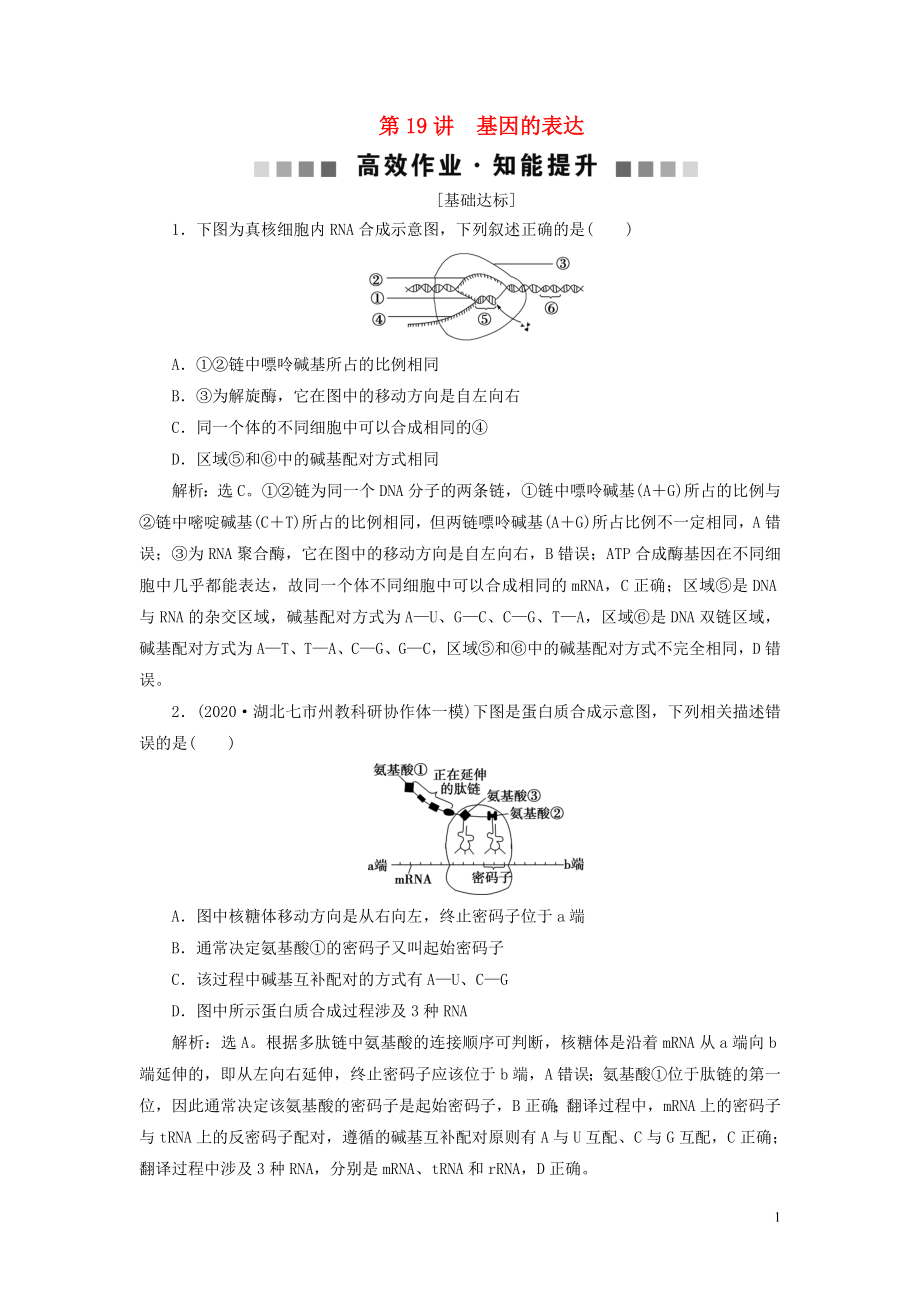 （選考）2021版新高考生物一輪復(fù)習(xí) 第六單元 遺傳的物質(zhì)基礎(chǔ) 第19講 基因的表達(dá)高效作業(yè)知能提升 新人教版_第1頁(yè)