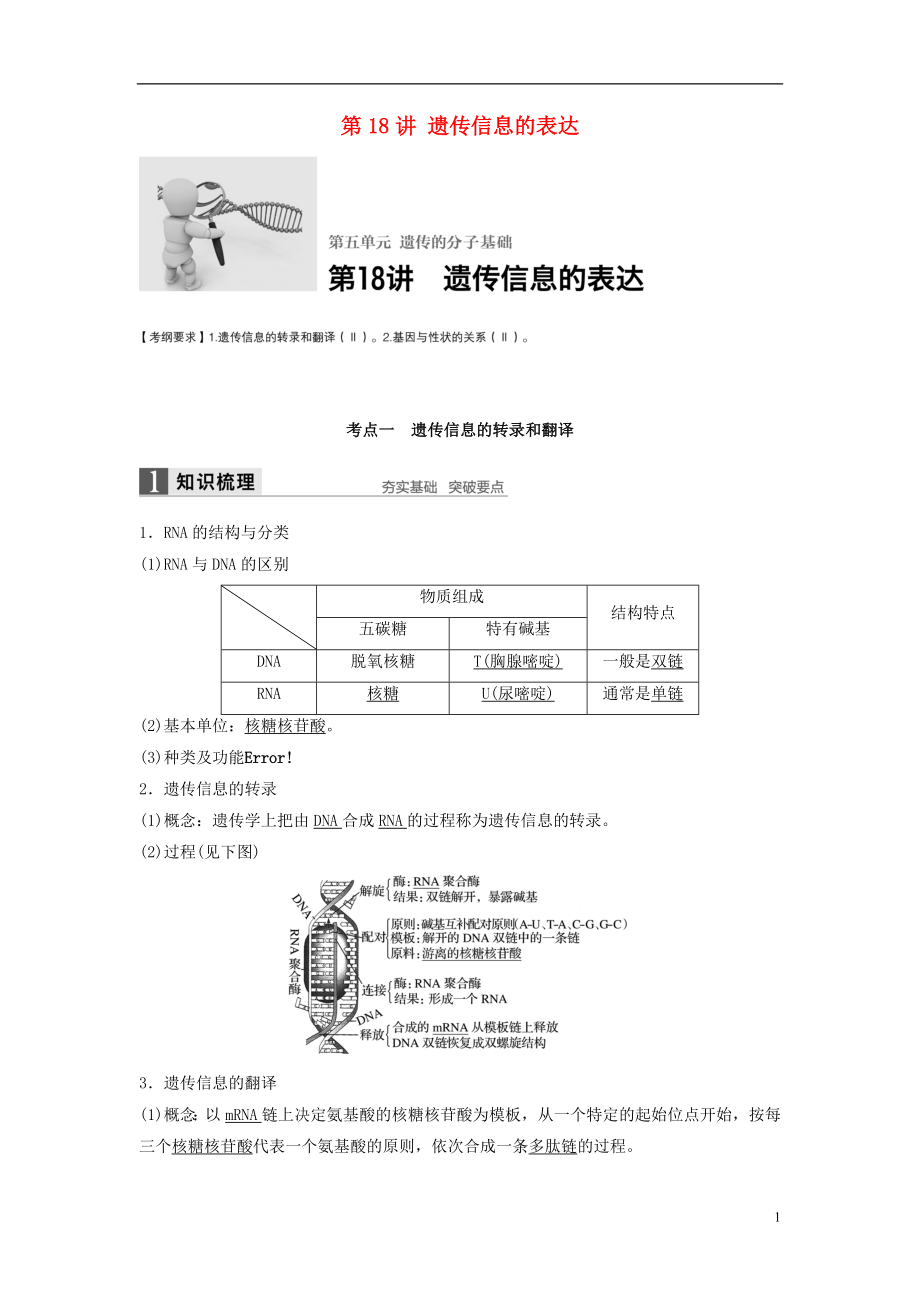 新2017高考生物一輪復習 第五單元 遺傳分子的基礎 第18講 遺傳信息的表達學案（含解析）北師大版_第1頁