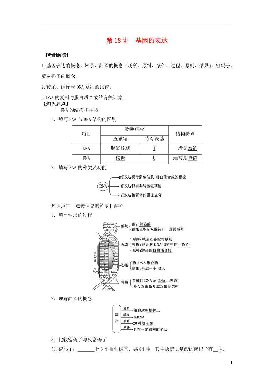 2016屆高三生物一輪復習 第18講 基因的表達導學案（無答案）_第1頁