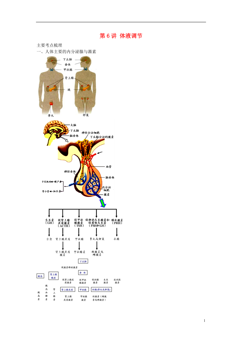 江蘇省大豐市高中生物 第六講 體液調(diào)節(jié)學(xué)案 蘇教版必修3_第1頁