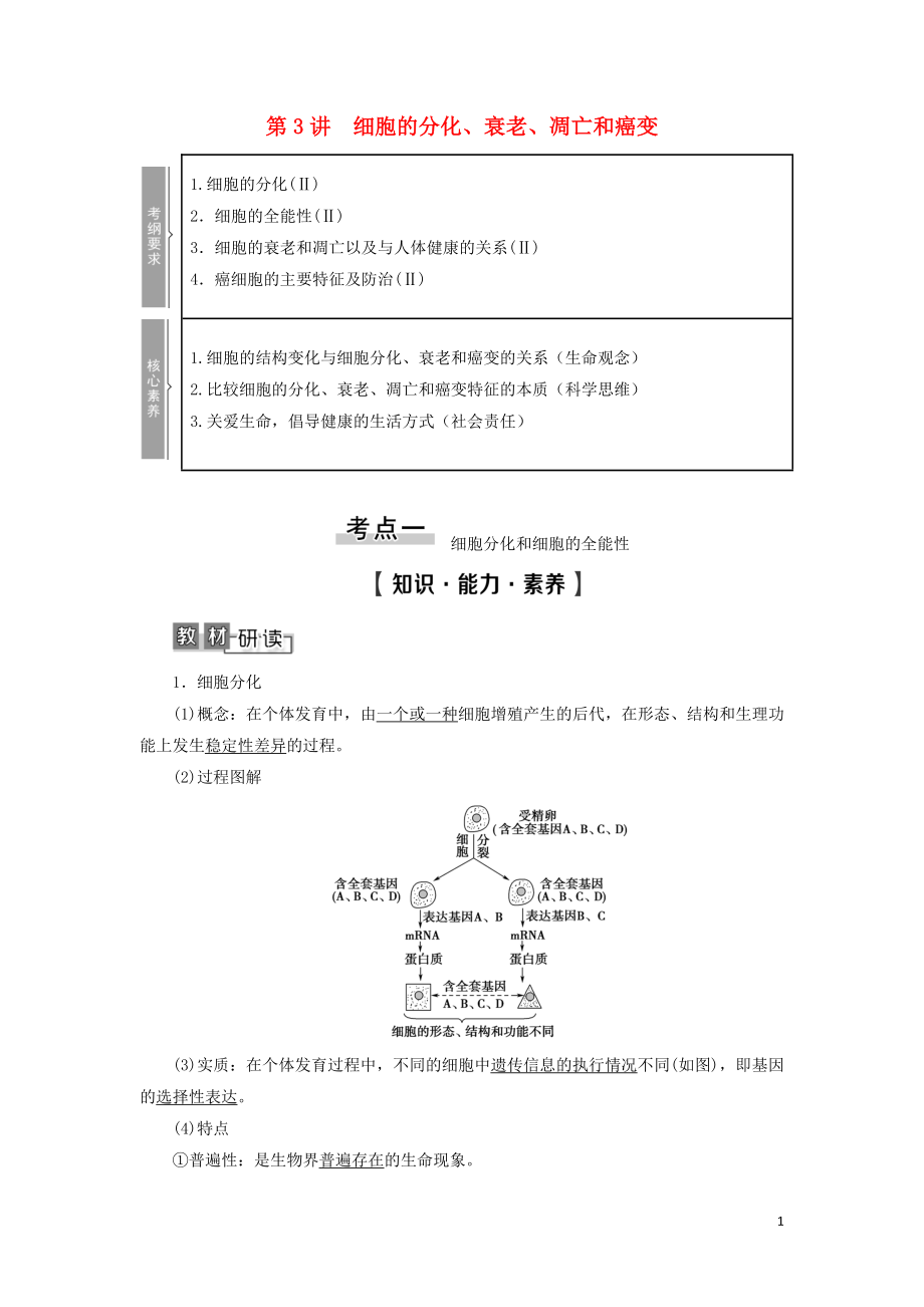 2021版高考生物一轮复习 第4单元 细胞的生命历程 第3讲 细胞的分化、衰老、凋亡和癌变学案 苏教版必修1_第1页