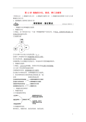2017高考生物總復(fù)習(xí) 第4單元 第12講細(xì)胞的分化學(xué)案