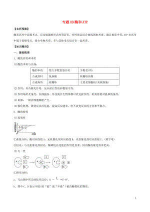 山東省2020年高考生物一輪復(fù)習(xí) 考點(diǎn)掃描 專題09 酶和ATP（含解析）