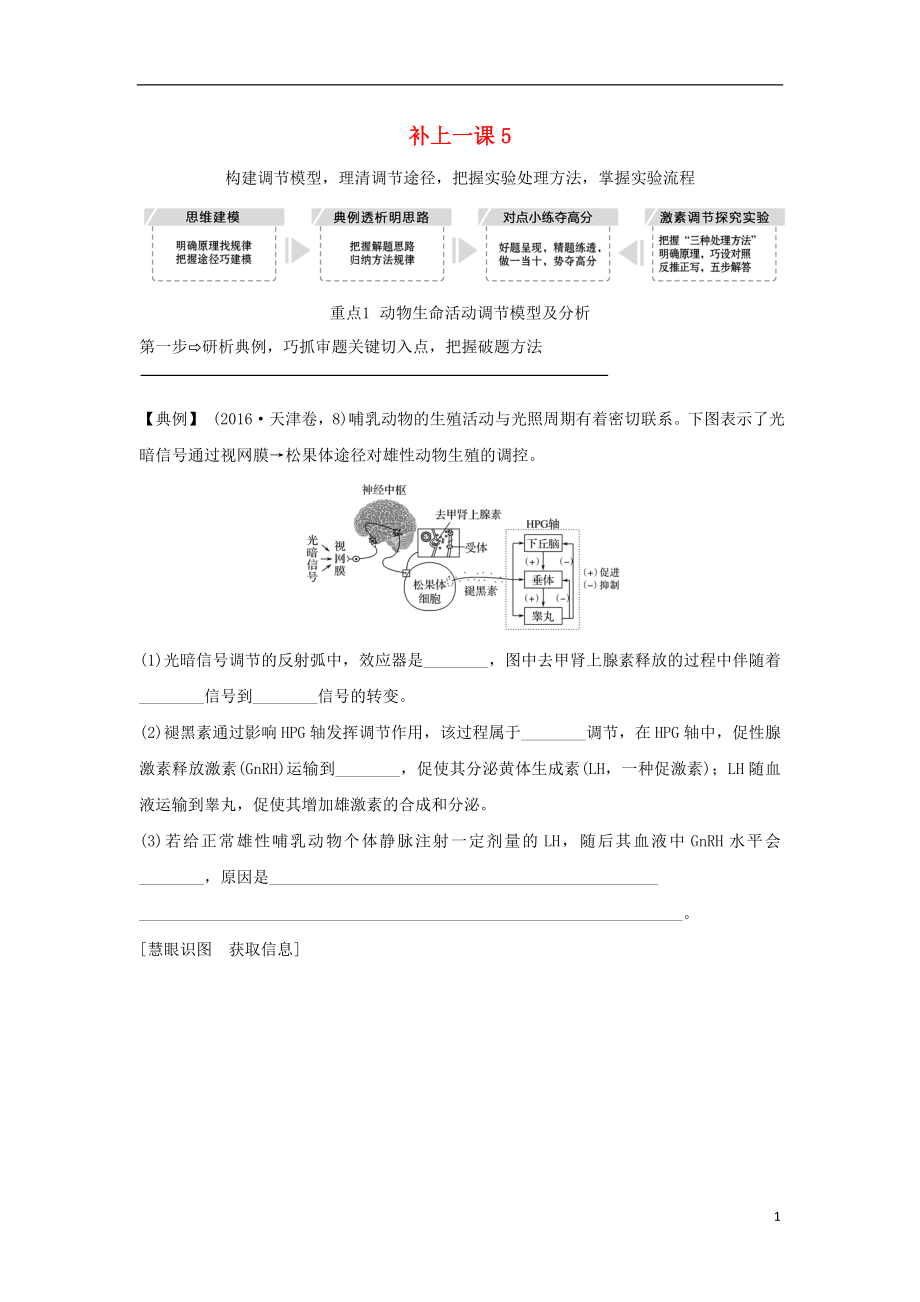 2019版高考生物大一輪復習 第八單元 生物個體的穩(wěn)態(tài) 補上一課5學案 蘇教版_第1頁