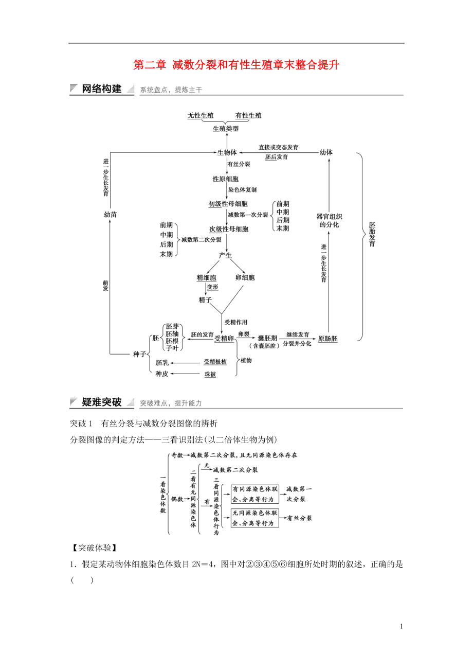 2015-2016學(xué)年高中生物 第二章 減數(shù)分裂和有性生殖章末整合提升學(xué)案 蘇教版必修2_第1頁