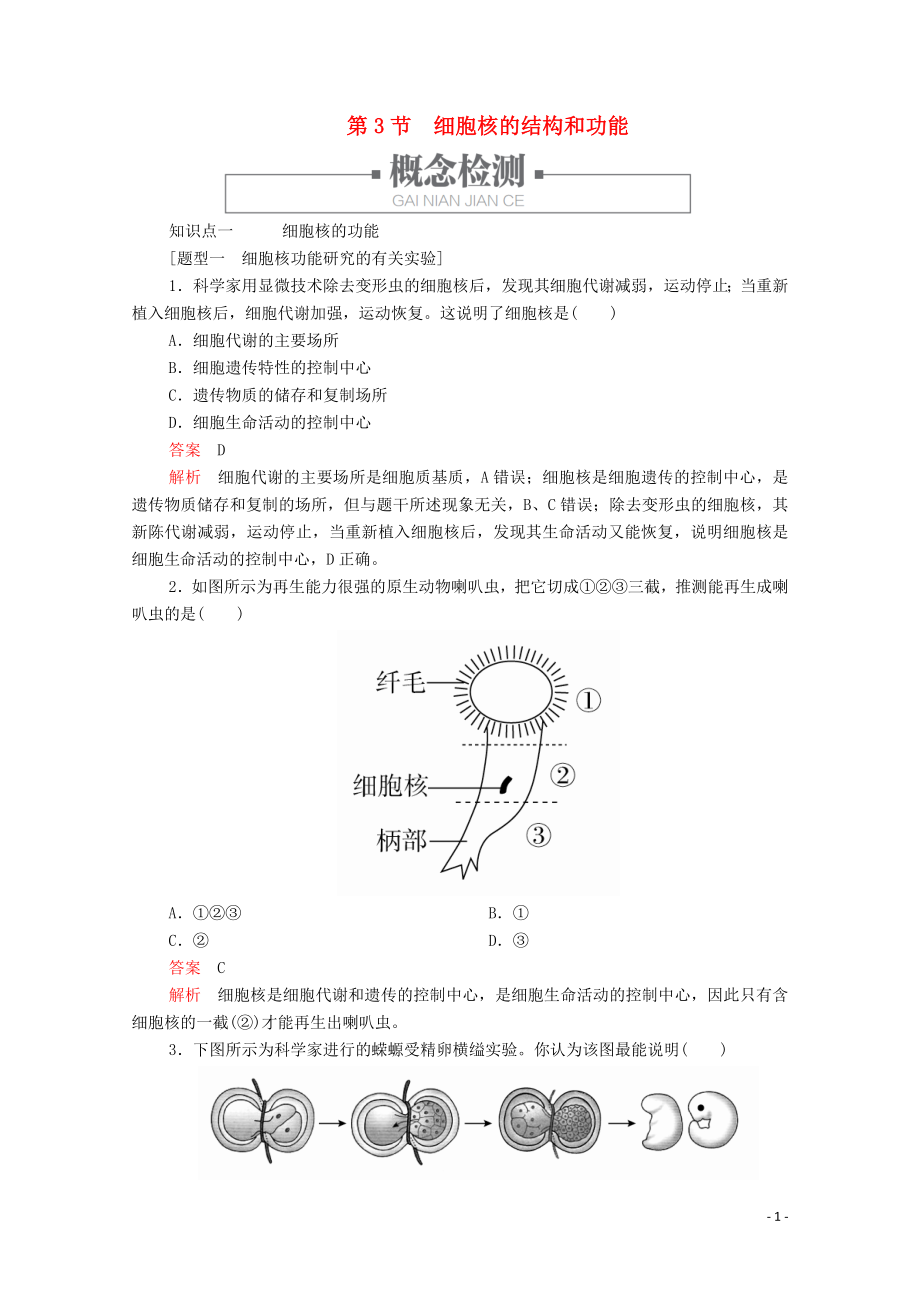 2019版新教材高中生物 第3章 第3節(jié) 細(xì)胞核的結(jié)構(gòu)和功能學(xué)案 新人教版必修1_第1頁