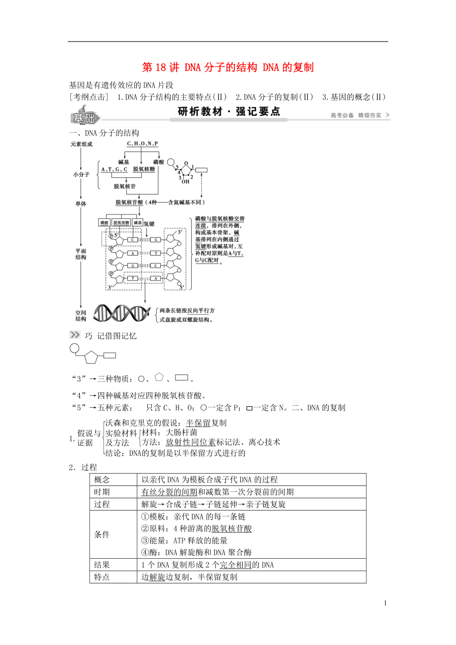 2017高考生物總復(fù)習(xí) 第6單元 第18講 DNA分子的結(jié)構(gòu)DNA的復(fù)制學(xué)案_第1頁(yè)