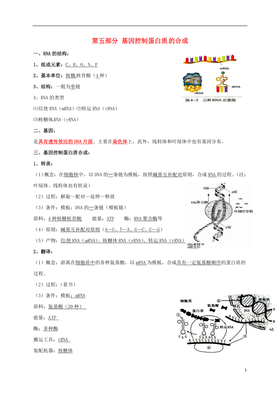 江蘇省徐州市高考生物總復(fù)習(xí) 專題四 生物的遺傳 第五部分 基因控制蛋白質(zhì)的合成學(xué)案_第1頁