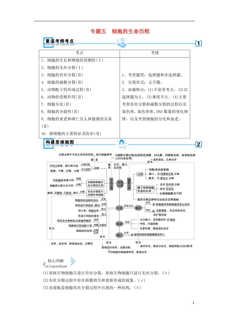 2019高考生物大二輪復(fù)習(xí) 專題五 細(xì)胞的生命歷程學(xué)案_第1頁(yè)