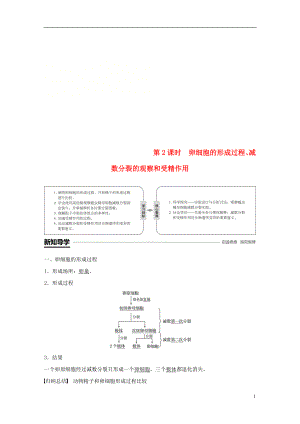 （粵渝冀遼蘇皖閩鄂湘津京魯瓊專(zhuān)用）2018-2019學(xué)年高中生物 第2章 基因和染色體的關(guān)系 第1節(jié) 減數(shù)分裂和受精作用 第2課時(shí) 卵細(xì)胞的形成過(guò)程、減數(shù)分裂的觀察和受精作用學(xué)案 新人教版必修2