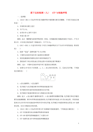 （新課改省份專用）2020版高考生物一輪復(fù)習(xí) 課下達(dá)標(biāo)檢測（九）ATP與細(xì)胞呼吸（含解析）