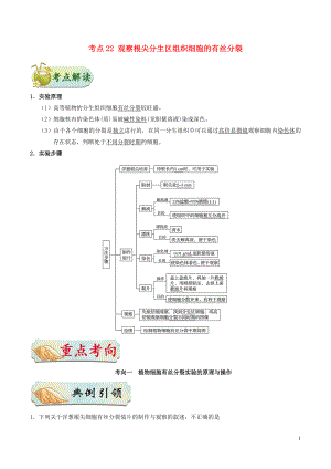 備戰(zhàn)2019年高考生物 考點(diǎn)一遍過(guò) 考點(diǎn)22 觀(guān)察根尖分生區(qū)組織細(xì)胞的有絲分裂（含解析）