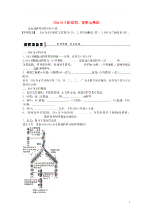 高考生物大一輪復(fù)習(xí) 24 DNA分子的結(jié)構(gòu)學(xué)案