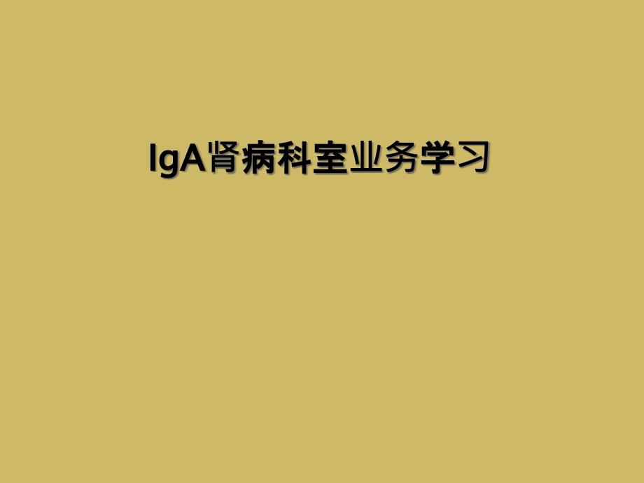 IgA肾病科室业务学习_第1页