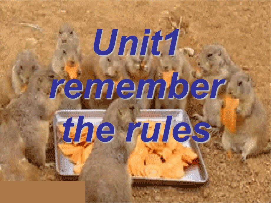 五年级下英语课件-Unit+1+Remember+the+rules_深港朗文版_第1页