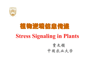 植物逆境信息传递研究进展课件