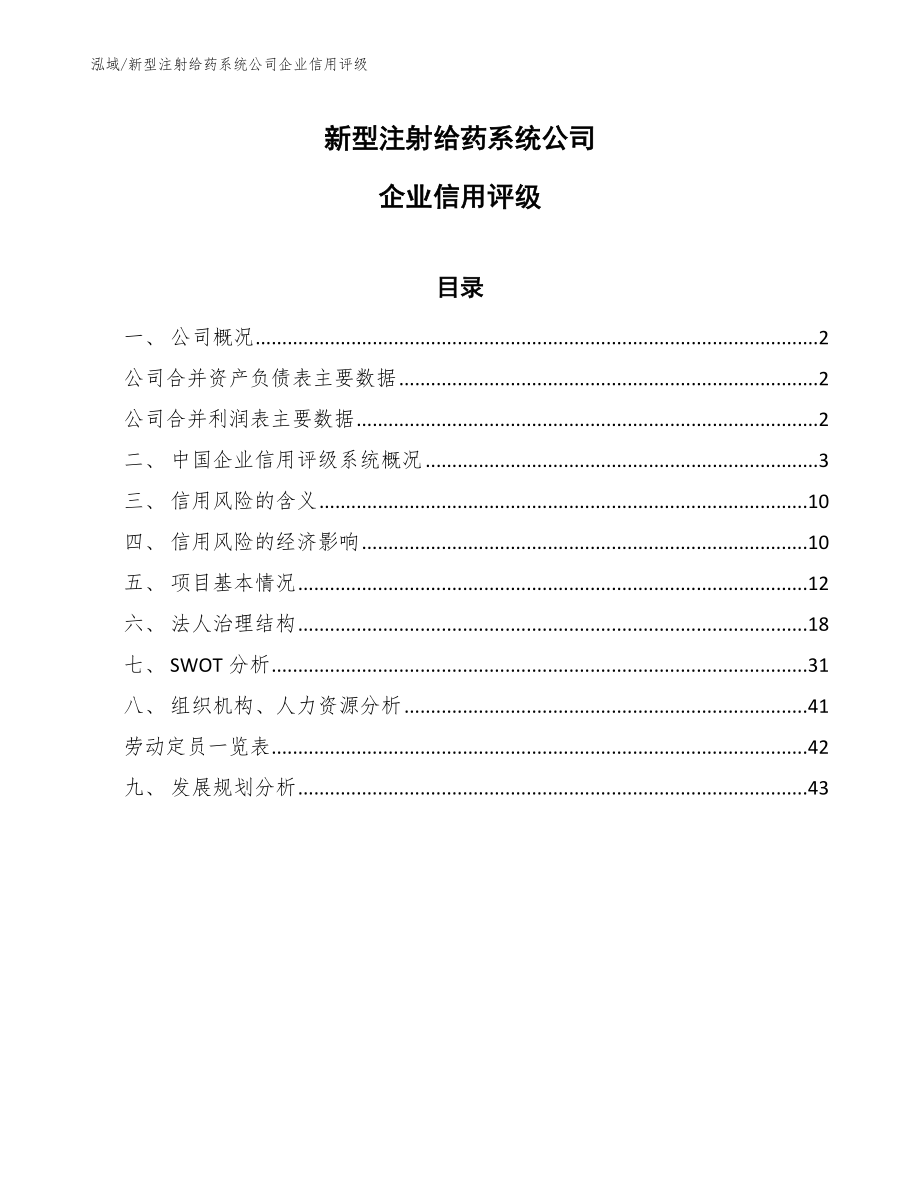 新型注射给药系统公司企业信用评级分析（参考）_第1页