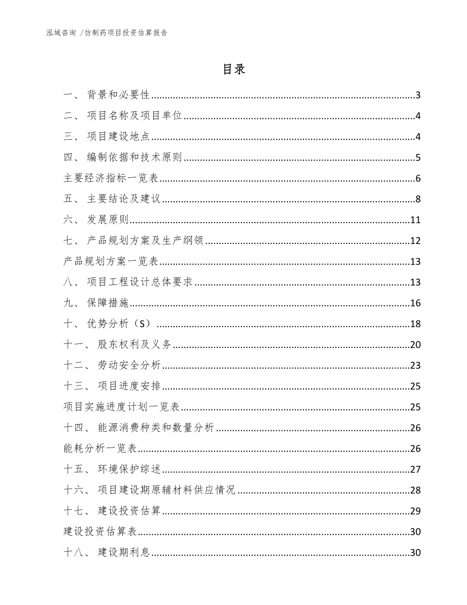 仿制药项目投资估算报告_第1页