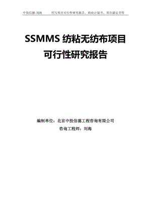 SSMMS纺粘无纺布项目可行性研究报告模板