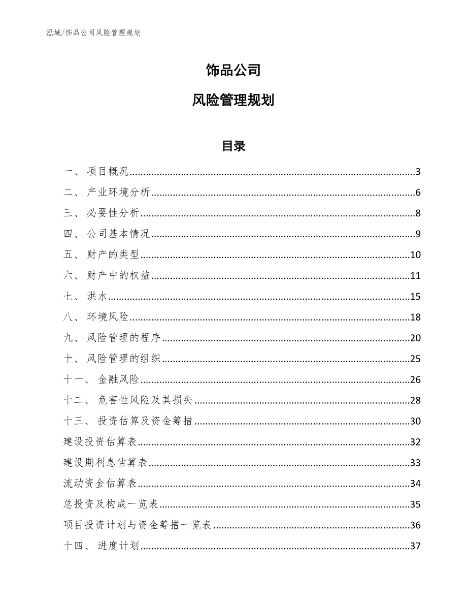 饰品公司风险管理规划_第1页