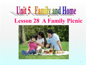 lesson 28 a family picnicppt課件.ppt