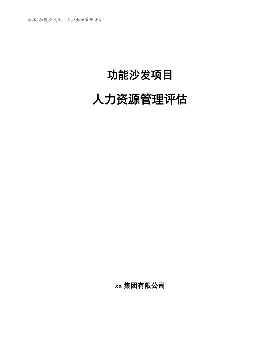 功能沙发项目人力资源管理评估【范文】_第1页