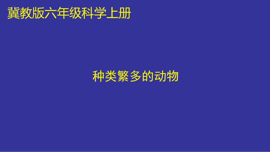 六年级上册科学课件－ 4种类繁多的动物 ｜冀人版 (共20张PPT)_第1页