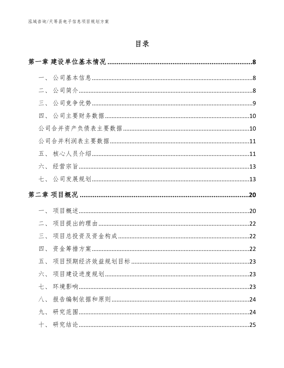 天等县电子信息项目规划方案_模板参考_第1页