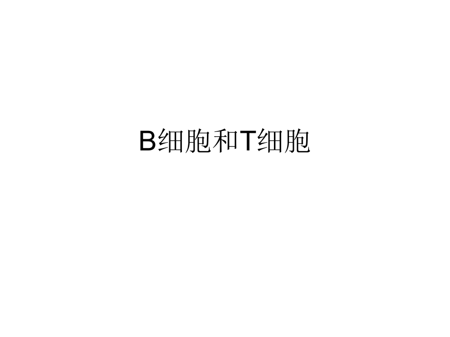 B细胞和T细胞PPT课件_第1页