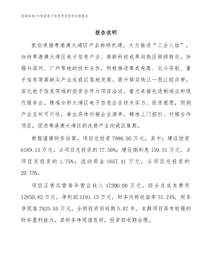 兴安县电子信息项目投资决策报告